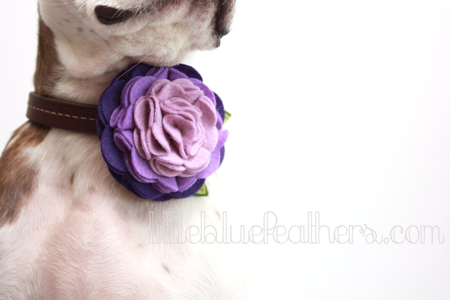 Rosette Wool Felt Flower Dog Accessories - Wedding Accessories - Felt Flowers - PICK YOUR COLOR