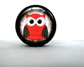 Crimson Owl Pill Box