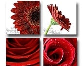 Floral Prints Set of Four Fine Art Photography Home Decor Wall Collage Daisy Gerbera Red Rose White MARKED DOWN 50% OFF