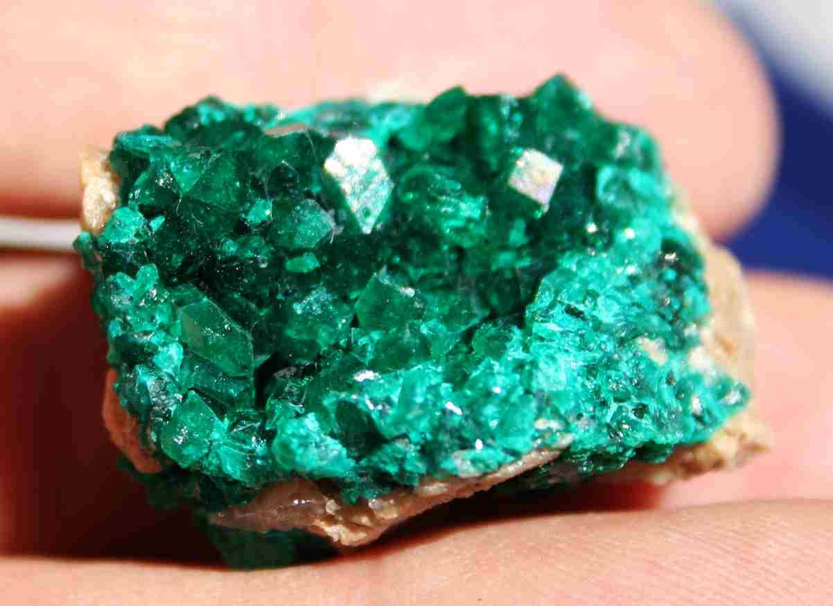 Dioptase Emerald Green Crystal Cluster Specimen