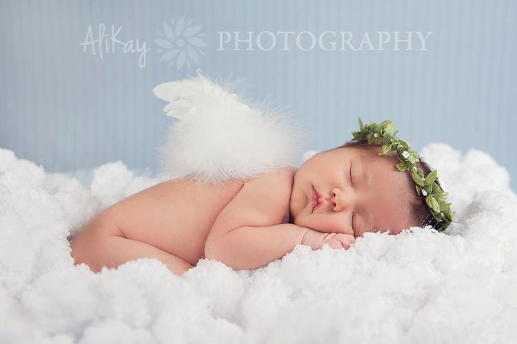 Puffy Cloud , Angel Wings, and Woodland Halo Portrait in a Box Set for Angel Baby Portraits & Professional Photography