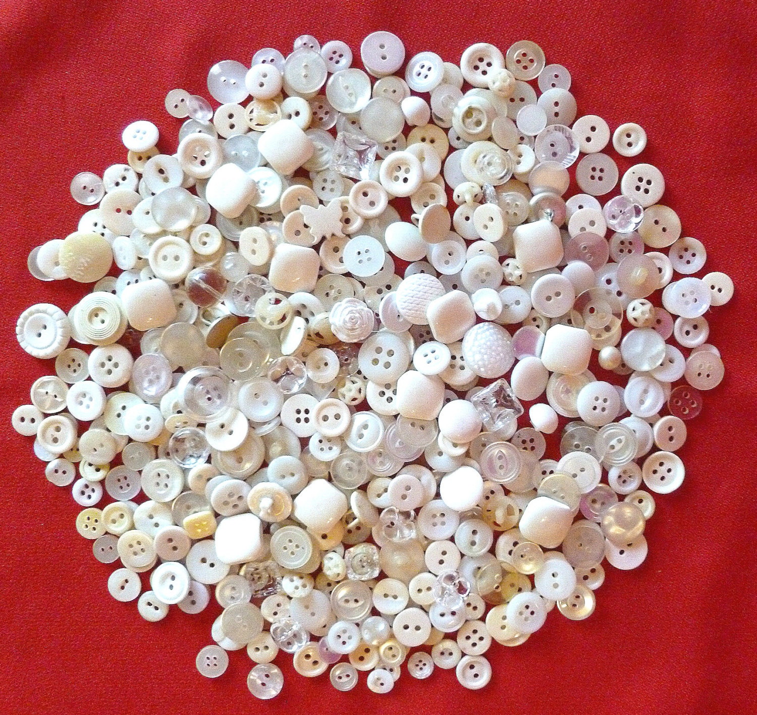 Huge Lot of Small "CLEAN" Antique and Vintage Pretty White and Ivory Buttons 600 in Lot -  ( Glass, Celluloid, MOP and more)