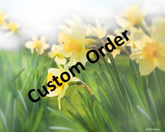 Custom Order for Heather