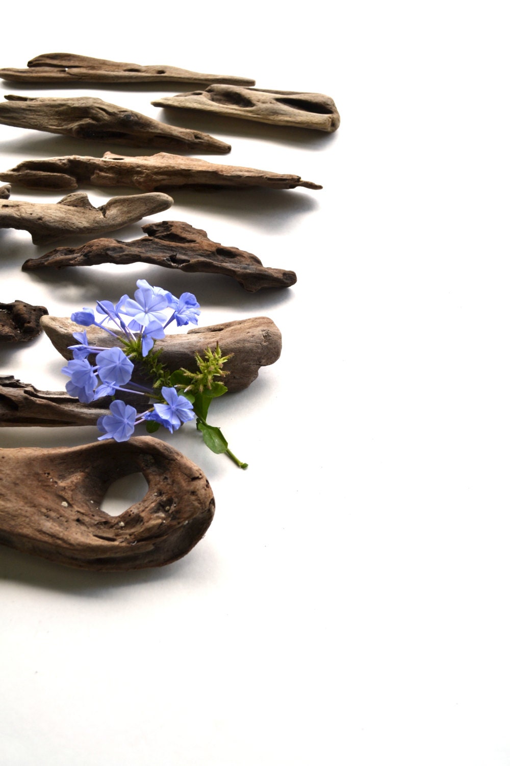 10 driftwood pieces for picture frames, decoration and other craft projects