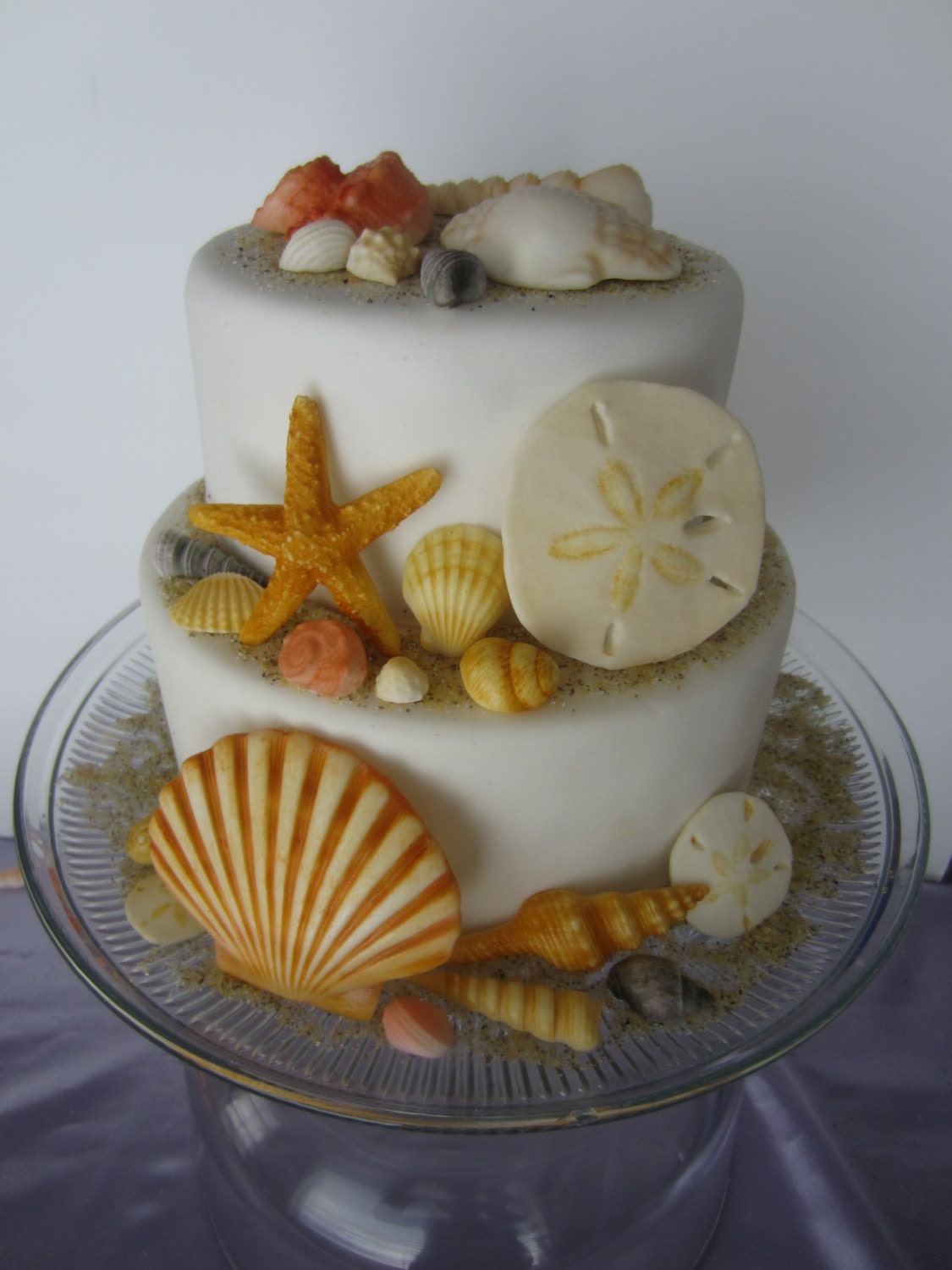 edible sea shells with sand natural color set of 27