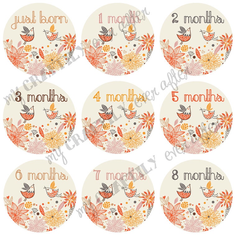 Monthly Onesie Decals for Baby - Song Birds