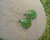 Green Verdigris Shell Earrings. Weathered Solid Brass Earrings. Taste of Summer.