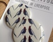 Stunning Liberty Pauly Parrot Pocket Mirror