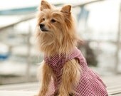 The Port Dog Dress