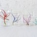 Color Air Plant Beaker Garden - The Chemical Color Garden Creepz Collection-  mini size 25mL