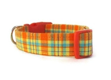 Orange Plaid Dog Collar - Citrus Plaid