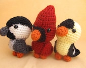 Backyard Birds Crochet Amigurumi Pattern