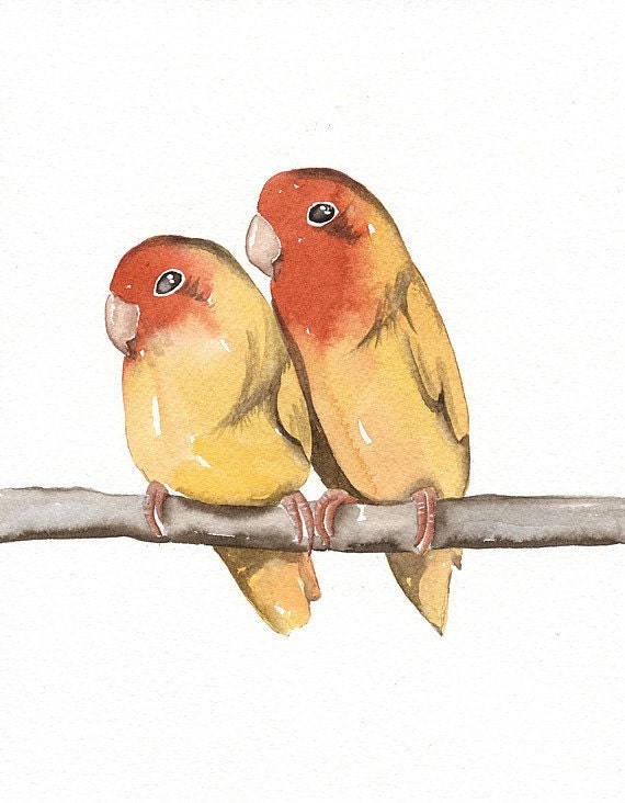 Parrots - Original Watercolor Painted Art Bird by Lorisworld