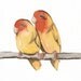 Parrots - Original Watercolor Painted Art Bird by Lorisworld