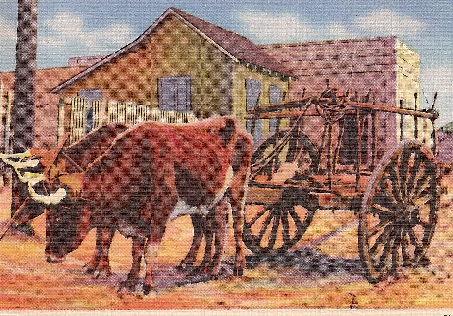Old Mexico Ox Cart Vintage Linen Postcard - Old Greeting Postcard - Curt Teich Company