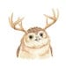 Owl Watercolor PRINT - Owl with Antlers, Nursery Art, Owl Illustration, Open Edition, 8x10 Art Print