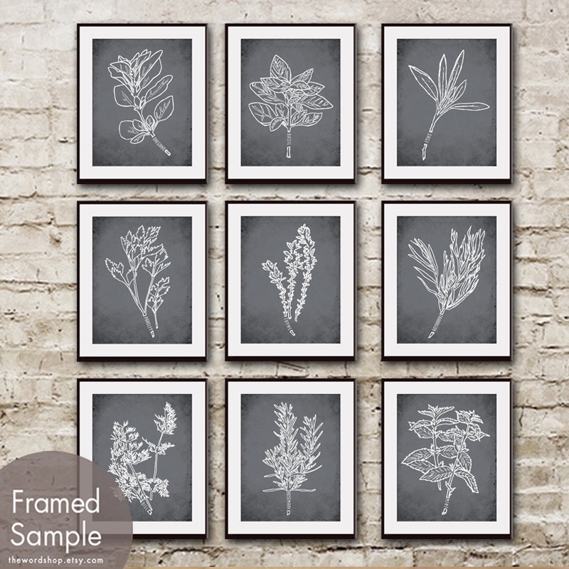 Herb Garden Collection - Set of 9 - 8x10 Art Print (Featured in Charcoal) (Customizable colors) Mint Basil Sage Rosemary Thyme Oregano