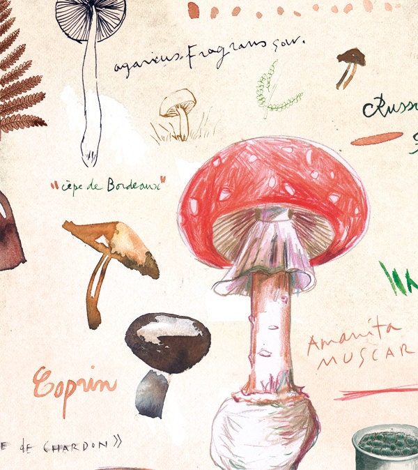Kitchen decor, Mushroom poster, Fungi botanical print, Food art, Watercolor Fungus