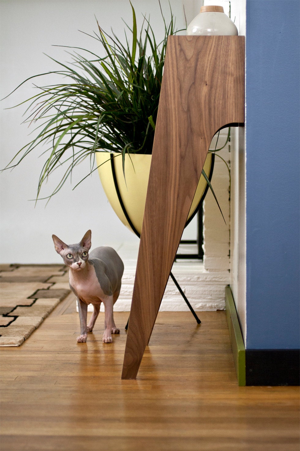 Mid Century Modern Console Table & Cat Scratcher