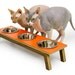 Mid Century Modern Pet Feeder with TRIPLE stainless bowls - SIX Colors