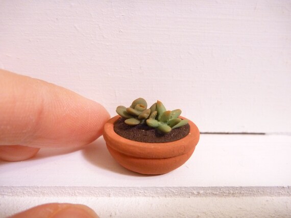 Miniature Dollhouse Succulent Plant in a Pot