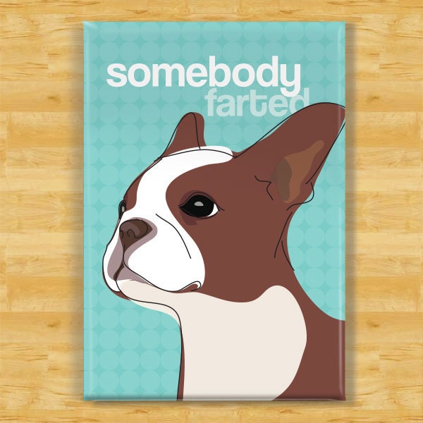 Boston Terrier Dog Magnet - Somebody Farted - Red Brown Boston Terrier