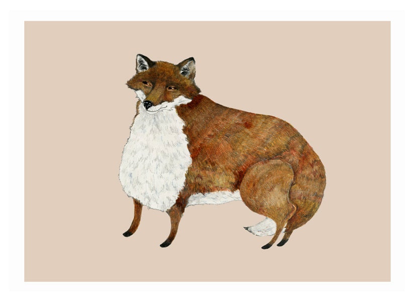 Fox print Fox illustration print 8x11