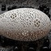 Hand Carved Victorian Lace JUMBO Goose Egg: Full Floral