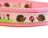 Pink Hedgehog collar