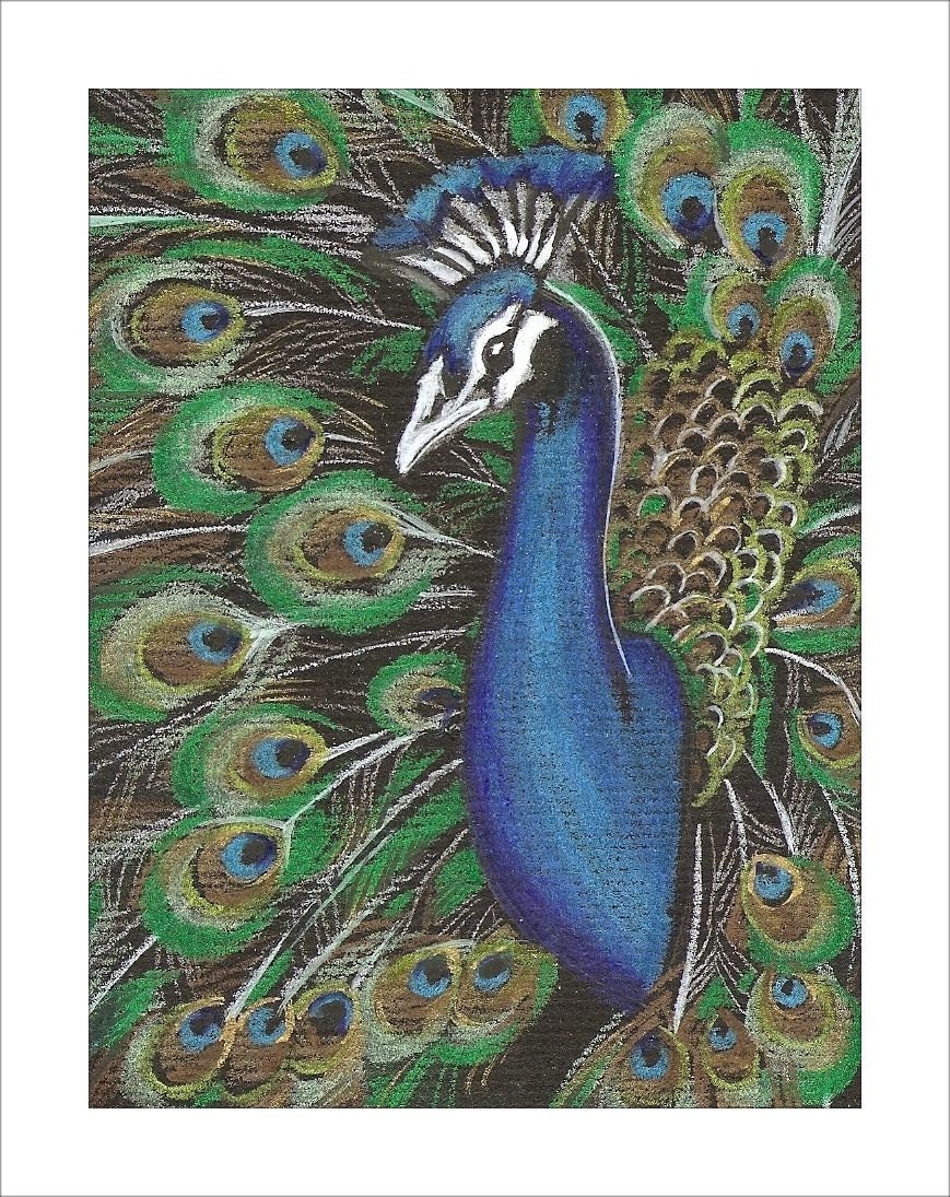 peacock,Nature, bird Print from Original mixed-media Painting  / Wall Art / collectable art