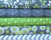 Grey and Green Fabric, Simply Color by V and Co for Moda, Half Yard Bundle, 5 Prints, 2 1/2 Yards Total