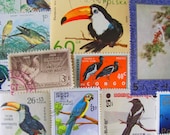 50 Fine Feathered Friends Vintage US Worldwide Postage Stamps Ornithology Twitter Tweet Duck Toucan Owl Falcon Tweet Philately 2