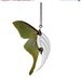 Spring Sale - 10 % OFF - Silver Statement Necklace - Stunning Blade Wing - One Of A Kind - Real Luna Moth Wings - Free Shipping