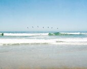 Pelican Photograph, Beach Photography, Bird Print, California, Summer, Turquoise, Blue, Ocean, Waves, Brown Pelicans, 8x10 Photograph