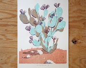 Prickly Pear Print
