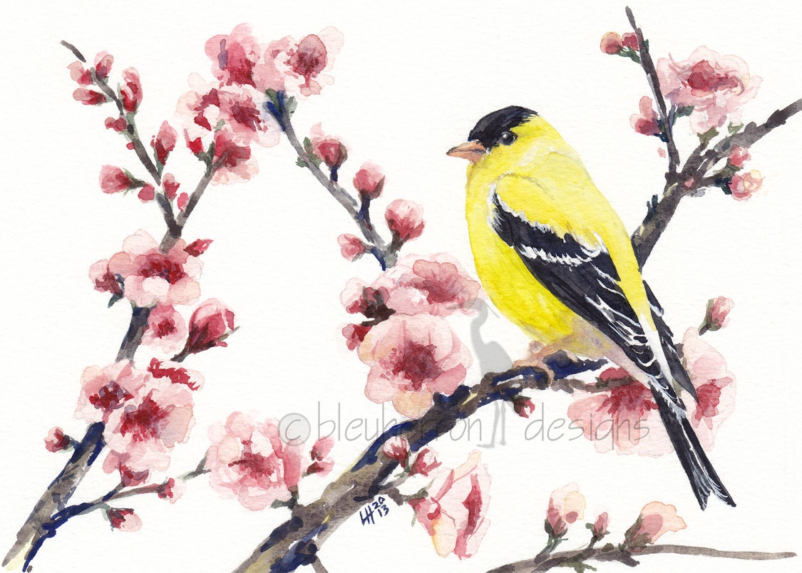 watercolor bird- Goldfinch in Spring Cherry Tree- 5x7 print