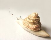 Snail ,wood carving, OOAK
