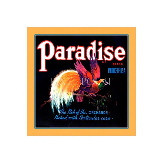 Small Journal - Paradise Brand Fruit - Fruit Crate Art Print Cover