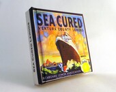 Small Journal - Sea Cured Lemons - Fruit Crate Art Print Cover