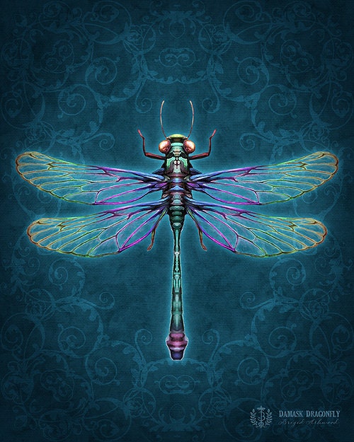 Damask Dragonfly - Art Print - Brigid Ashwood