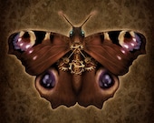 Steampunk Peacock Butterfly - Art Print - Brigid Ashwood