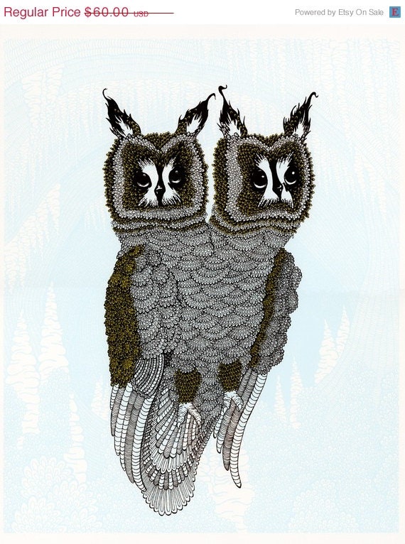 SUMMER FUN SALE Owl Screenprint - Blue and Green 18x24