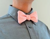 Men's Bow Tie in Pink Stripe- freestyle wedding groomsmen bowtie neck self tie striped