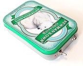 Portable Amp and Speaker for MP3 Player -Polar/Green