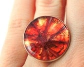 Blood Orange Ring - Real Fruit Jewelry - Fruit Ring
