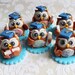 Owl Graduation Theme Cupcake Toppers ( 6 Owls, 1 Message Plate)
