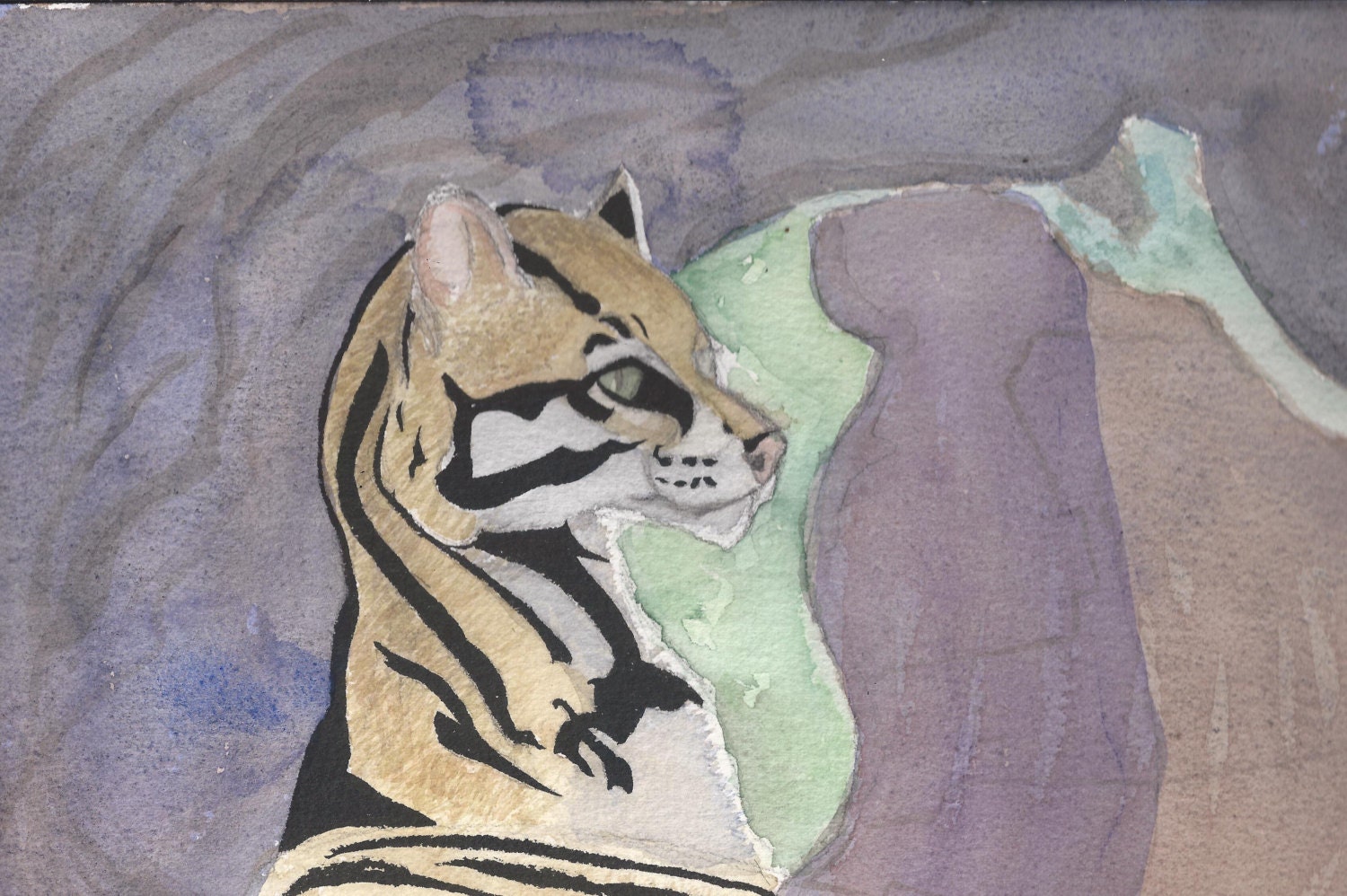 Ocelot 5x7 print