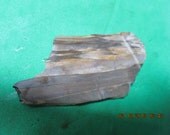 Brown Chatoyant Binghamite Tan Brown Cab Slab Rough Lapidary Free Form Wrap It