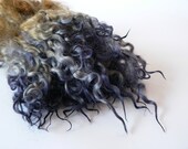 Hand Dyed Teeswater Locks Spinning Olive Sapphire- 1 oz