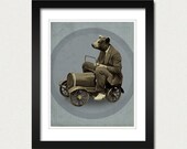 A Bear Driving a Tiny Car 8x10 Art Print